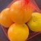LDPE Net Mesh Bags For Vegetable Fruit Packing 3mm